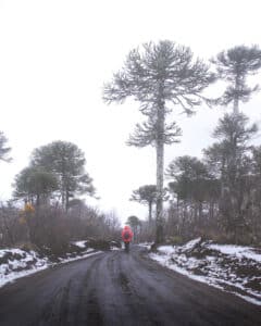 Parque Nacional Conguillío invierno
