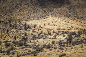 pan_azucar_3